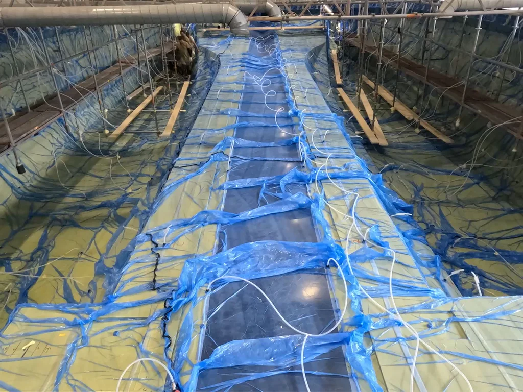 LANIAKEA Hull Infusion